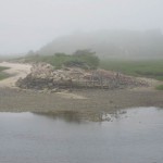 Pamet River, Cape Cod, MA, June 2011. Photo by Jerry Nelson.